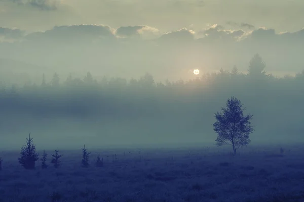 Belle nebbie del mattino — Foto Stock