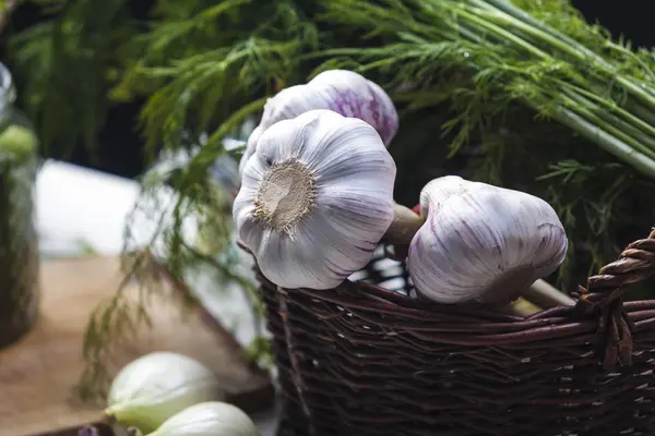 Przygotowanie do marynowania ogórków — Zdjęcie stockowe