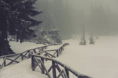 Kış Harikalar Diyarı