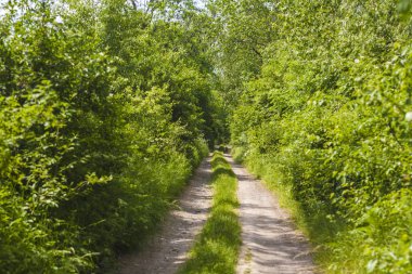 Bahar kırsal manzara