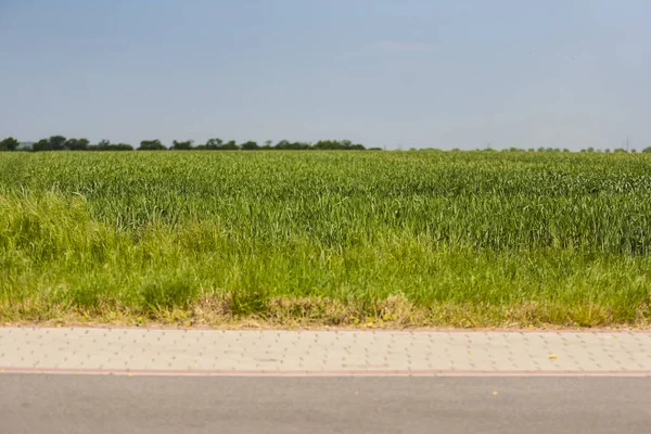 Primavera paesaggio rurale — Foto Stock