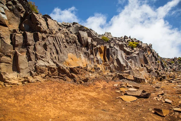 Corte Roca Volcánica Isla Madeira —  Fotos de Stock