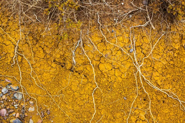 Volcanic Rock Ponta Furado Madeira Island Portugal — Stock Photo, Image