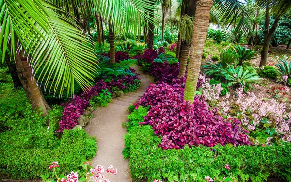 Insel Madeira Tropische Gärten Des Monte Palace — Stockfoto