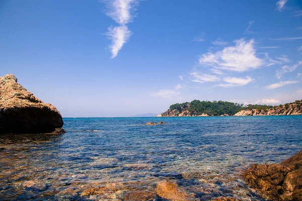 Côte Azur Côte Bormes Les Mimosas Var France — Photo