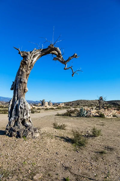 Utsikt Över Öknen Tabernas Almería Provinsen Spanien — Stockfoto