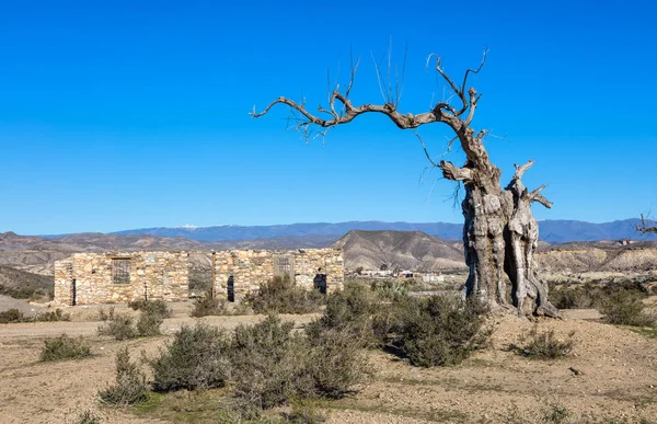 Utsikt Över Öknen Tabernas Almería Provinsen Spanien — Stockfoto