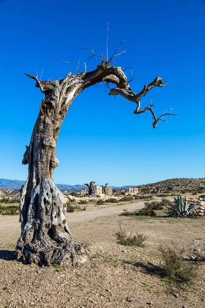 Utsikt Över Öknen Tabernas Almería Provinsen Spanien — Stockfoto