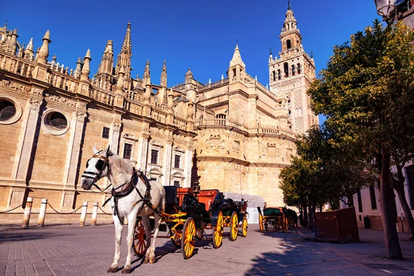 Caleche Frente Catedral Sevilha Andaluzia Espanha — Fotografia de Stock