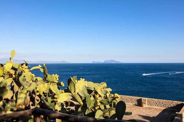 Isla Capri Vista Desde Una Terraza Del Castillo Aragonés Ischia — Foto de Stock