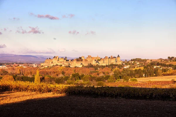 Staden Carcassonne Sett Utifrån Den Nya Bron Languedoc Roussillon Aude — Stockfoto