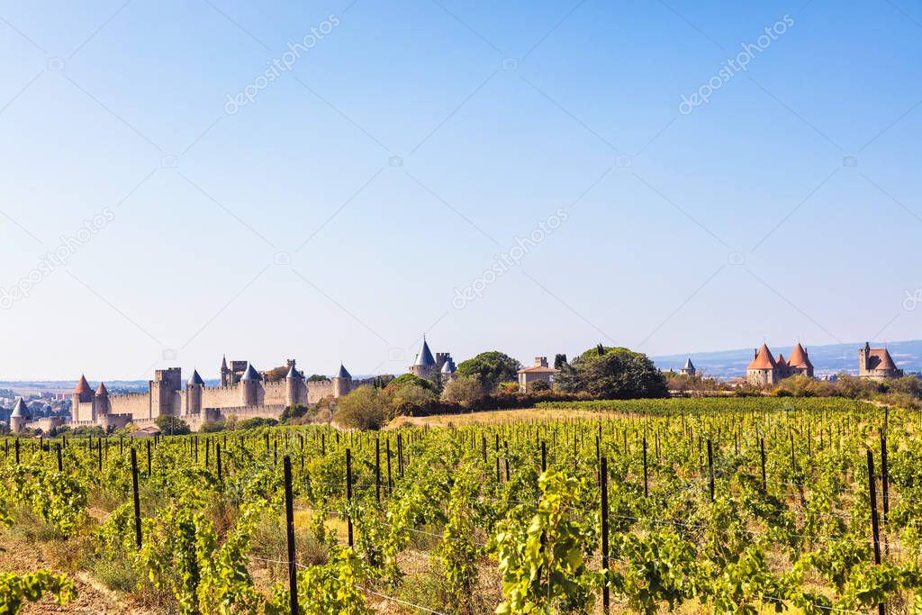 View of the medieval city of Carcassonne from a vineyard, Languedoc-Roussillon, Aude, Occitanie, France