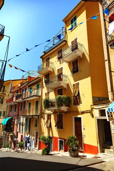 Manarola Liguria Ιταλία Αυγούστου 2018 Θέα Στο Δρόμο — Φωτογραφία Αρχείου