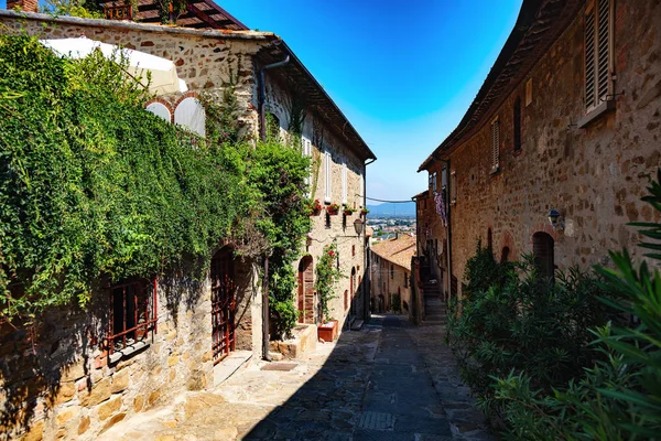 Lane Castiglione Della Pescaia Liguria Italy — Stock Photo, Image