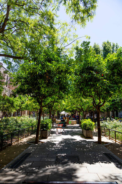 BARCELONA, SPAIN - JUNE 01, 2019. Garden in the backyard of the former hospital Santa Creu de Barcelona. Now the important Gothic ensemble is the National Library of Catalonia, Barcelona