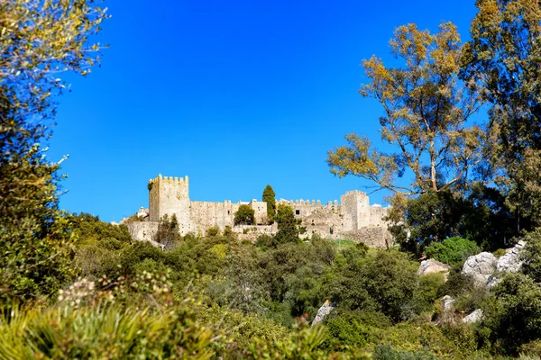 Castillo Castellar Frontera Andalucía España —  Fotos de Stock