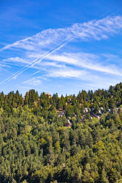 夏のスキーリゾートGuzetのモミの木の真ん中にあるシャレーの景色 Couserans Pyrenees Ustou Valley Arige Occitanie フランス — ストック写真