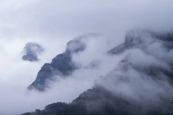 Bewaldete Hänge im herbstlichen Nebel. — Stockfoto