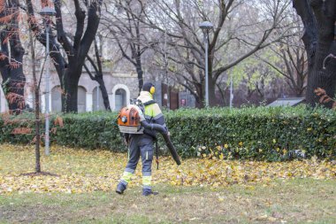 Şehir parkında ağır yaprak üfleyici kullanan bir adam. Sonbaharda izinlerin kaldırılması.