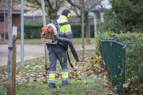 Şehir parkında portakal yaprağı üfleyicisiyle çalışan bir adam. Sonbaharda düşen yaprakları toplamak. Yapraklar kıvrılıyor.