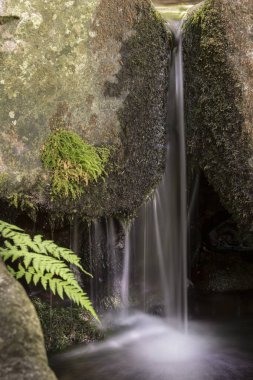 Nehirde küçük bir şelale var..