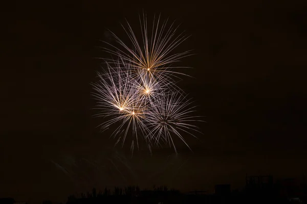 Fuochi Artificio Celebrazione Anno Nuovo — Foto Stock
