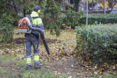 Şehir parkında ağır bir yaprak üfleyicisi işletiyor. Yapraklar fırıl fırıl dönüyor. Sonbaharda dökülen yapraklar temizleniyor..