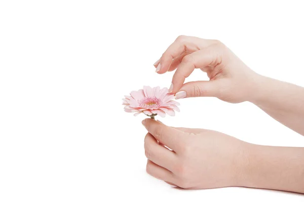 Kobiece ręce trzymając kwiat różowy — Zdjęcie stockowe