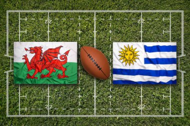 Uruguay vs Galler rugby sahasında bayraklar