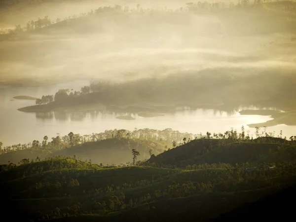 Alba dorata panorama — Foto Stock