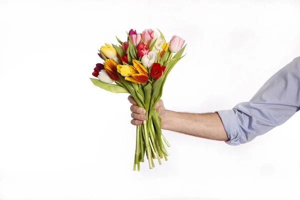 Mão masculina com buquê de tulipas, isolado — Fotografia de Stock