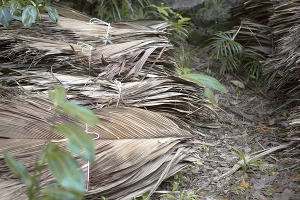 Feuilles de palmier séchées au bord du chemin — Photo