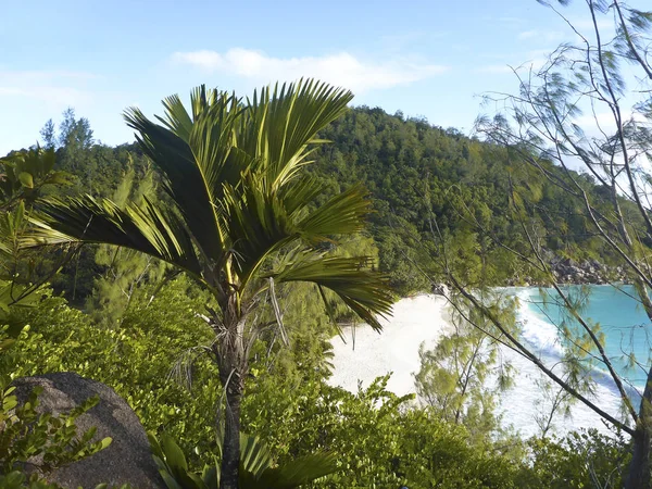 Vistas panorámicas tropicales, Isla Praslin, Seychelles —  Fotos de Stock