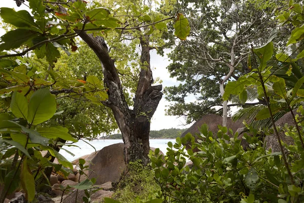 Paesaggio ad Anse Lazio, Seychelles — Foto Stock