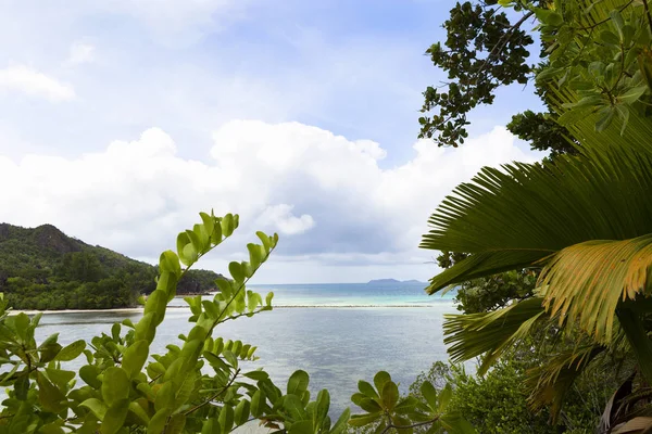 キュリーズ島、セイシェルで熱帯ビーチ ビュー — ストック写真