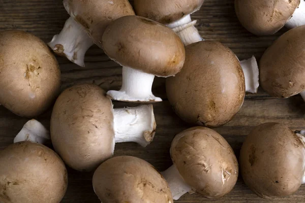 Gros plan de champignons crus — Photo