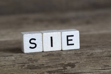 Almanca kelime o küpleri içinde yazılı    