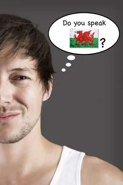 Parli gallese? ? — Foto Stock