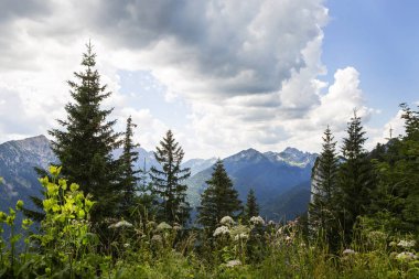 Dağ Puerschling, Bavyera Alpleri, Almanya'dan görüntülemek