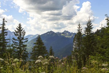 Dağ Puerschling, Bavyera Alpleri, Almanya'dan görüntülemek