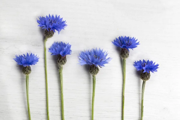 白い木製の背景に青いトウモロコシの花 — ストック写真