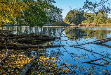 Sonbaharın renkleri gölde