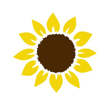 ayçiçeği vektör arkaplanı, izole