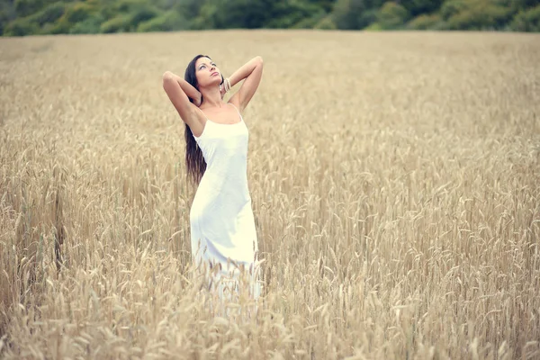 Beautiful girl standing in rye field — Stock Photo, Image