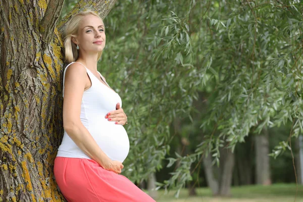 Jeune fille enceinte. gros beau ventre — Photo