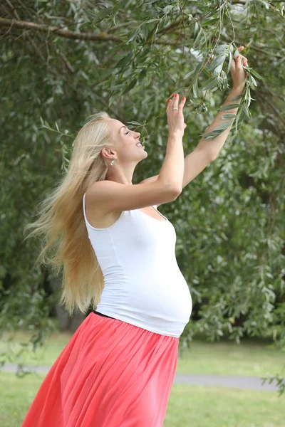 Gravid flicka. stor vacker mage — Stockfoto