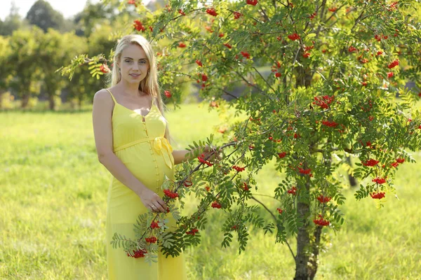 Zwangere vrouw — Stockfoto