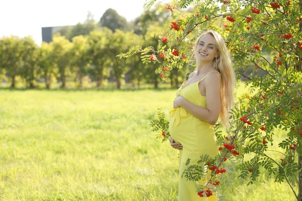 公园里年轻快乐的怀孕女孩画像 — 图库照片