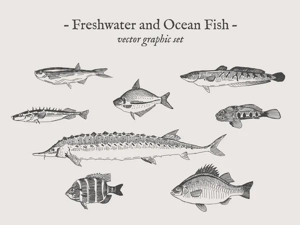 Fisch Vektor Illustration Set — Stockvektor