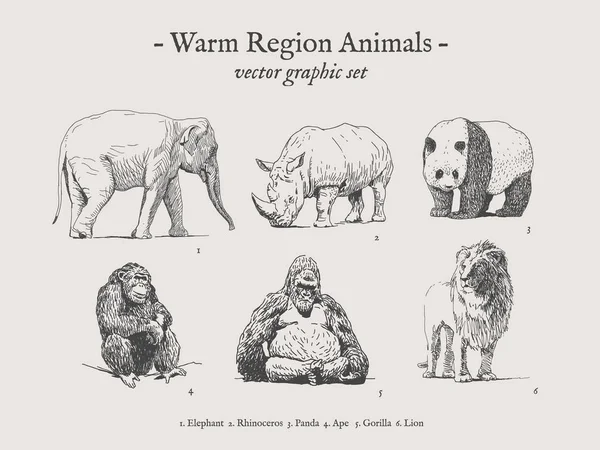Meleg régió állatok vintage illusztráció készlet — Stock Vector